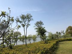 -滨江生态公园