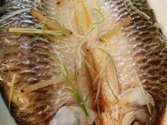 -天怡·鱼工厂(临江店)