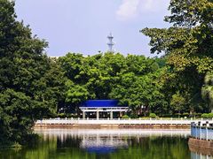 -长洲岛