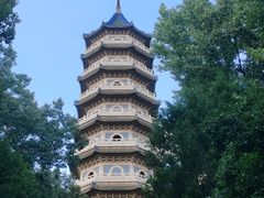 -灵谷景区