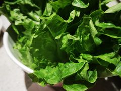 -阿莉餐厅(枣阳路店)