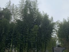 -眉山湿地公园(东坡区)