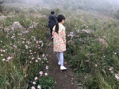 -白草畔自然风景区