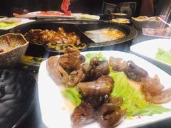 -苏州金科大酒店