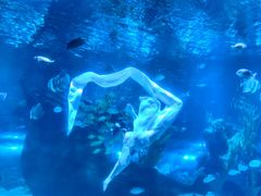 -南昌海洋公园