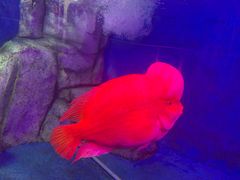 -泉州海丝野生动物世界