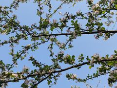 -重庆中央公园(渝北区)