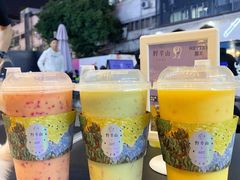 -野萃山·潮汕厚果汁(十亩地店)