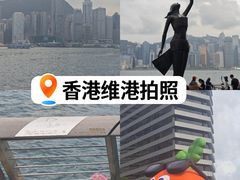-星光大道