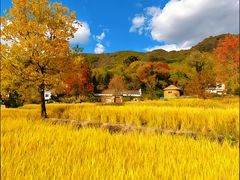 -塔川景区