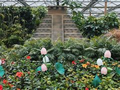 -南宫五洲植物乐园