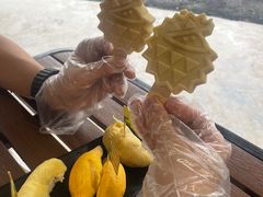 -榴莲BB 四季果园