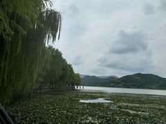 -鸣鹤古镇