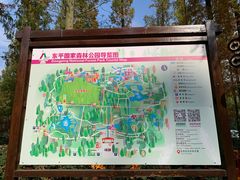 -东平国家森林公园