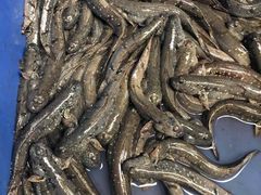 -老地方海鲜餐厅