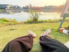 -白鹭湾湿地公园