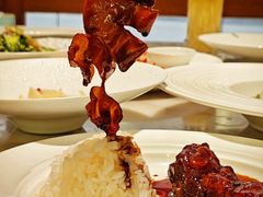 -蝶园·装修中(BFC外滩金融中心店)