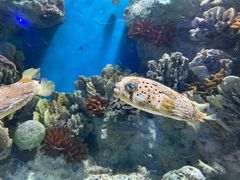 -福州罗源湾海洋世界旅游区