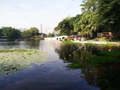 -荔湾湖公园