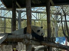 -鄂尔多斯野生动物园