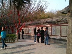 -西安青龙寺遗址景区