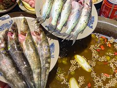 -石锅苗苗鱼(武汉首店)