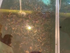 -鸿运兔·手撕烤兔(天府广场店)