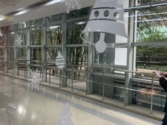 -上海中医药大学附属曙光医院(东部)