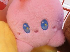 -可爱抓 COCO  GOTCHA(天津鹏欣水游城店)