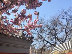 -北京艺术博物馆(万寿寺)