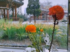 -九献创意菜·牛排馆(亮马河花园店)