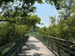 -西湖风景区-江洋畈生态公园