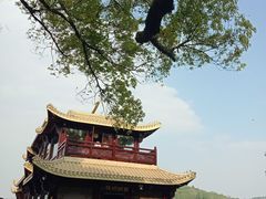 -西湖外事游船(花港观鱼码头)