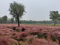 -汉长安城未央宫国家考古遗址公园