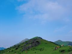 -大姆山草场