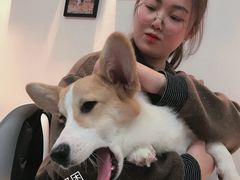 -汪说·狗咖(旺城大厦店)