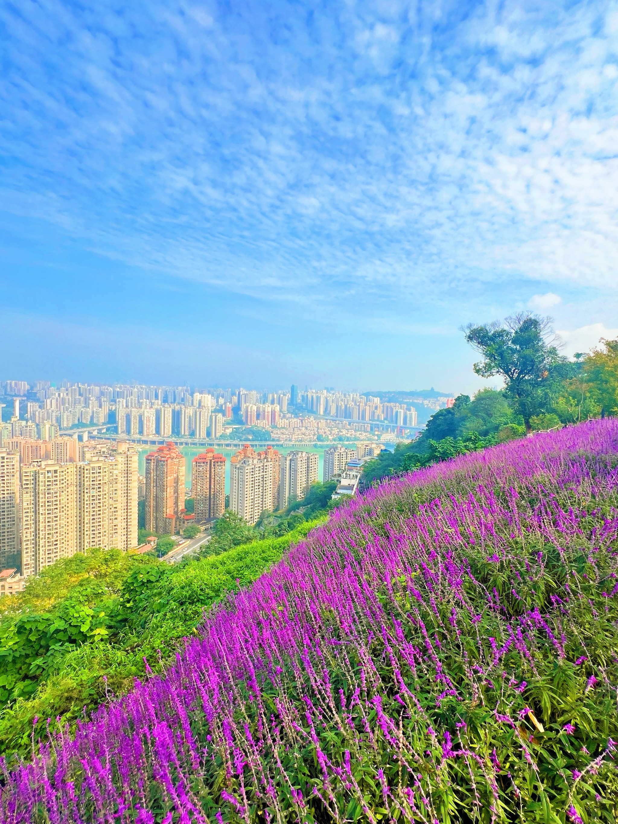 重庆山顶道图片