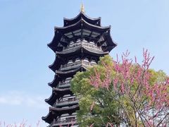 -洋湖国家湿地公园