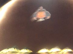 -哈啾嗨·新概念蒙餐(红星新城店)