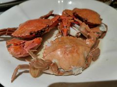 -神洲四海大酒楼(王府井澳门中心店)