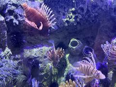 -太平洋海底世界