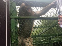 -藏龙百瀑风景区