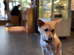 -慢象咖啡(台江店)