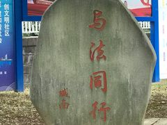 -澹台湖公园