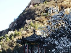 -北京凤凰岭