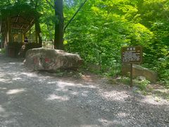 -本溪汤沟绿石谷森林公园