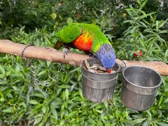 -南宫五洲植物乐园