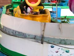 -长春公园(普阳街道)