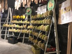 -都念榴莲·城市榴莲