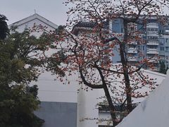 -光孝寺